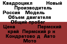 Квадроцикл STELS. Новый. › Производитель ­ Россия › Модель ­ ATV-300B › Объем двигателя ­ 276 › Общий пробег ­ 40 › Цена ­ 250 000 - Пермский край, Пермский р-н, Кондратово д. Авто » Мото   